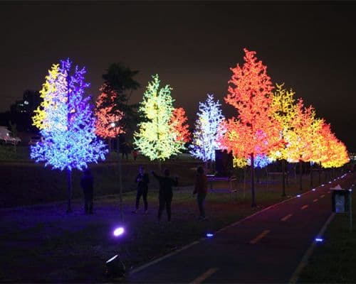 Bosque de Luz leva encanto ao Parque Linear de PG