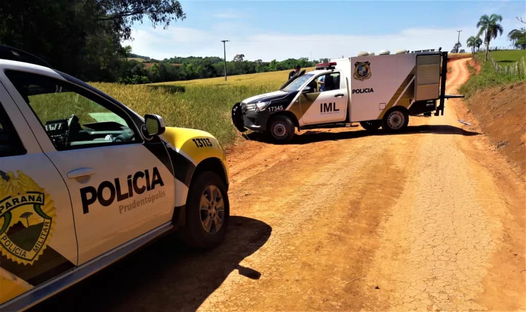 Idoso morre e cães se alimentam de restos do corpo da vítima em cidade da região