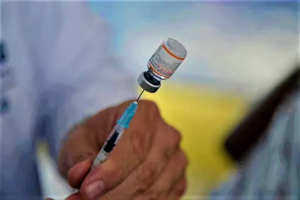 Governo anuncia aplicação de vacina bivalente contra covid-19 a partir do fim de fevereiro