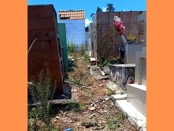 Moradores denunciam más condições do Cemitério São Sebastião. Veja imagens