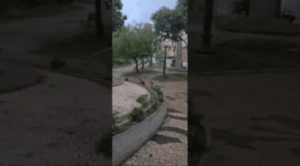 Bolsonaristas prometem revitalizar praça da Catedral, em PG