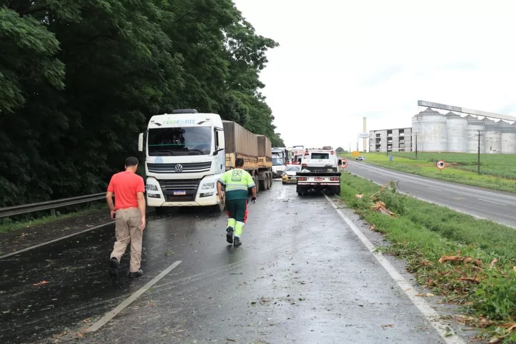 Queda de árvores bloqueia a BR-376 em Ponta Grossa