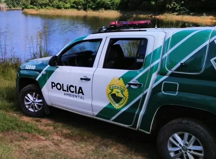 Homem é multado em mais de 100 mil reais por jogar dejetos de animais em rio de Carambeí