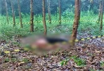 Pai e filho são mortos à facadas e corpos são encontrados em matagal de cidade da região