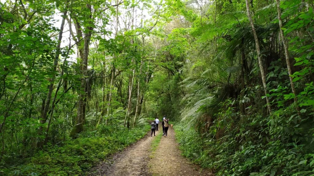 Caminhada Internacional na Natureza terá 12km de muita beleza em Itaiacoca
