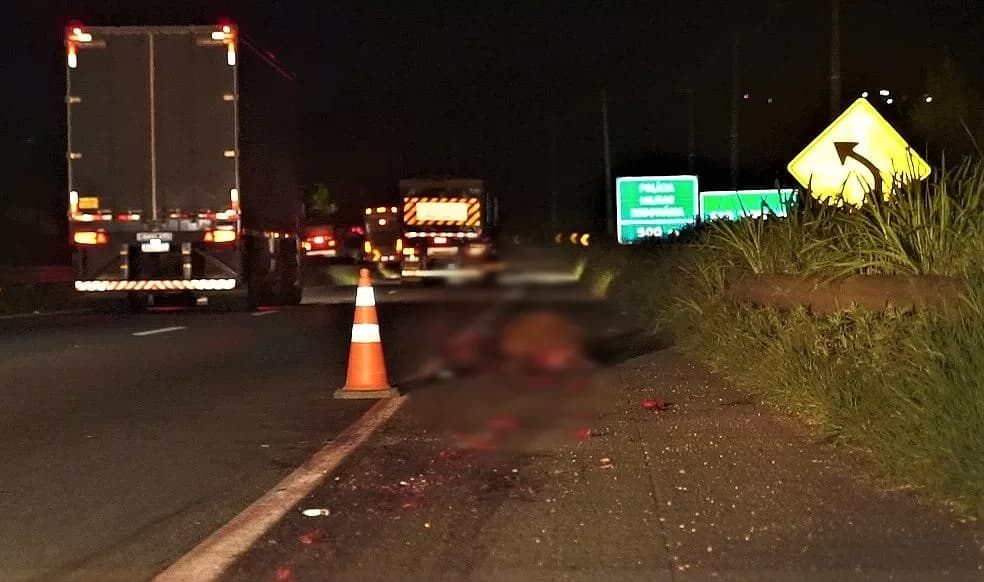 Cavalos morrem após serem atropelados por caminhões em rodovia de PG