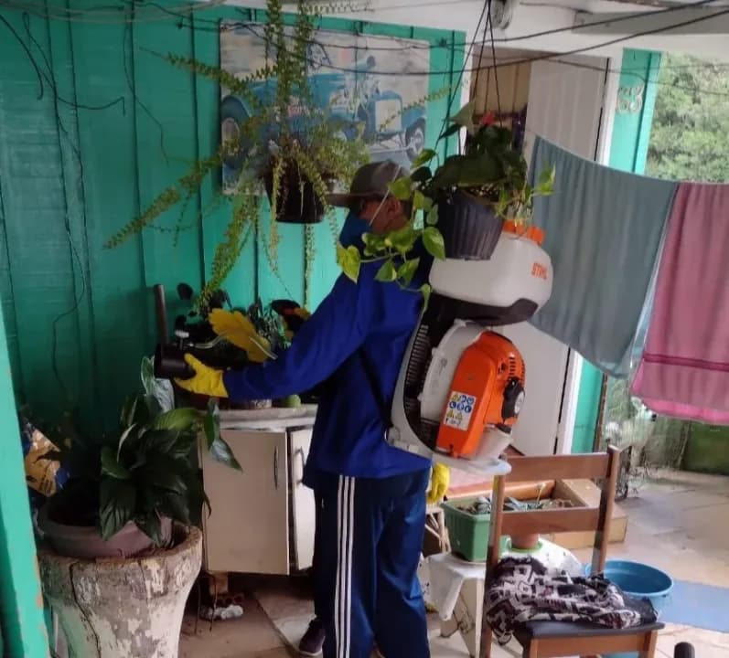 Castro alerta sobre os casos de dengue e chikungunya no Estado