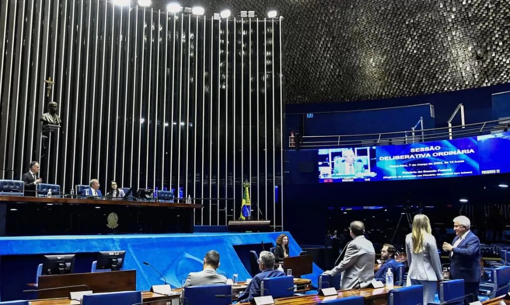 Senado aprova leis que criam Delegacias da Mulher e “Patrulha Maria da Penha”