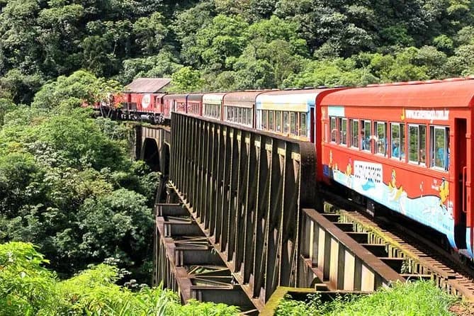 Embarque em um dos passeios de trem mais bonitos do Brasil