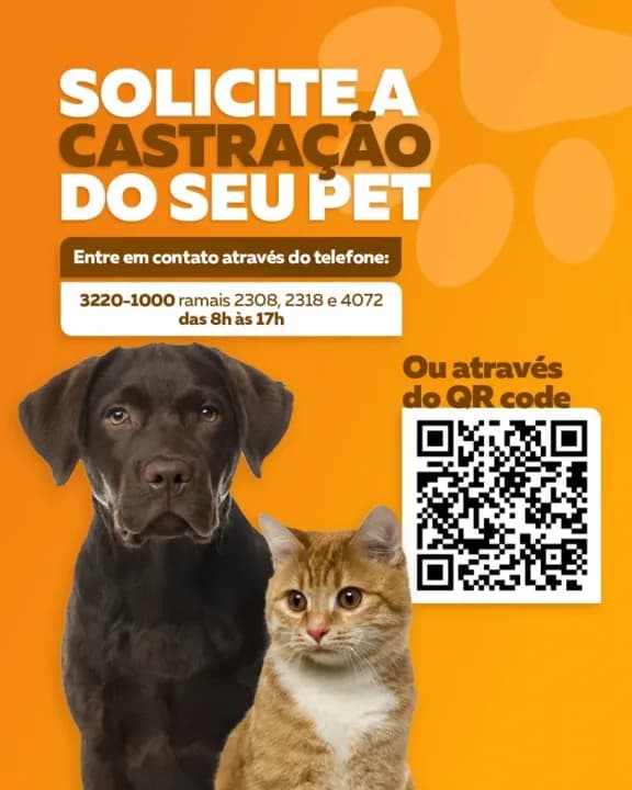 Um dos focos das castrações é manter o controle populacional