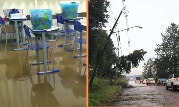 Escola alagada, queda de árvores e falta de luz: temporal causa vários transtornos em PG