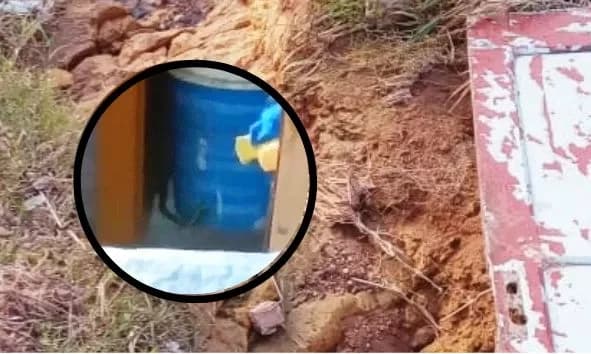 Cobra invade residência em rua precária que já foi denunciada pelo BNT em PG