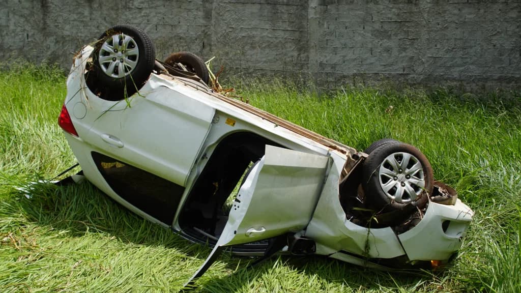 Mulher capota carro ao desviar de cachorro na PR-151
