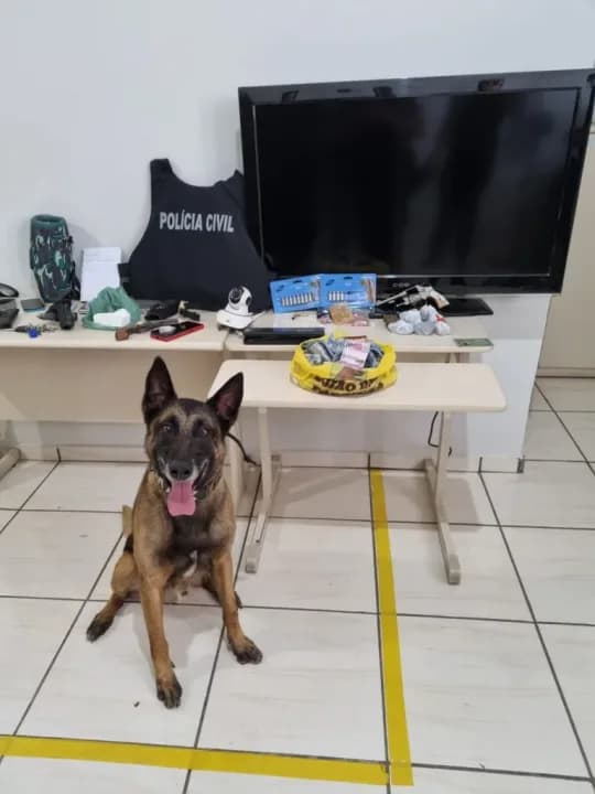 Três pessoas são presas em operação de combate ao tráfico de drogas em Arapoti