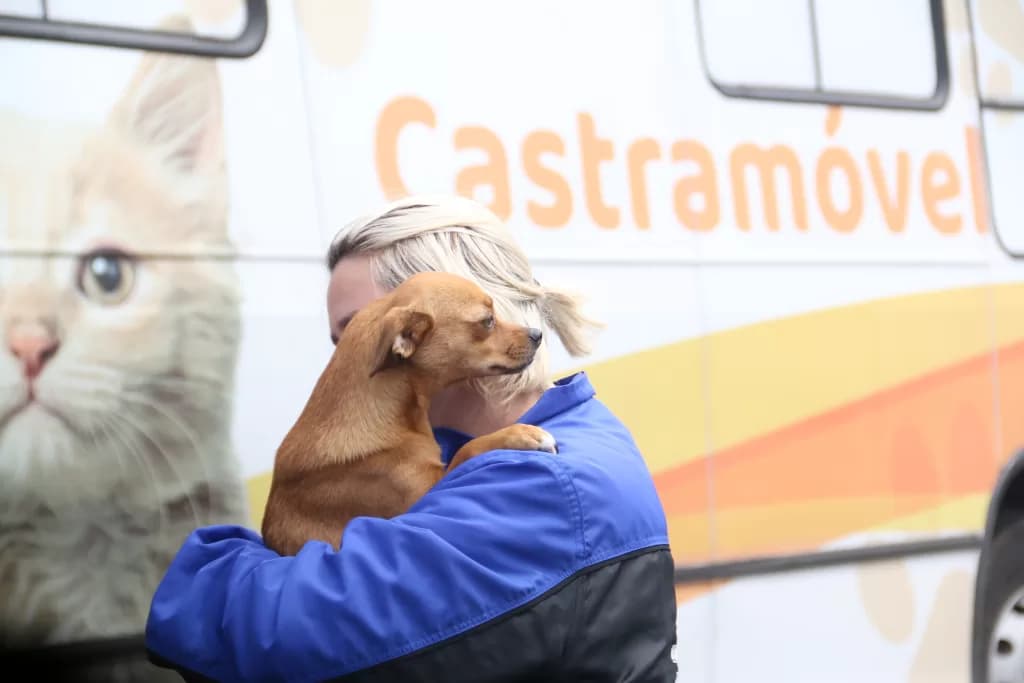 Ponta Grossa fará mutirão para castração de cães e gatos na próxima semana