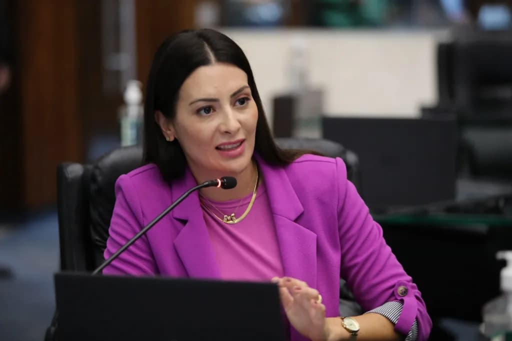 Mabel apresenta projeto para assegurar assentos exclusivos para mulheres no transporte coletivo intermunicipal