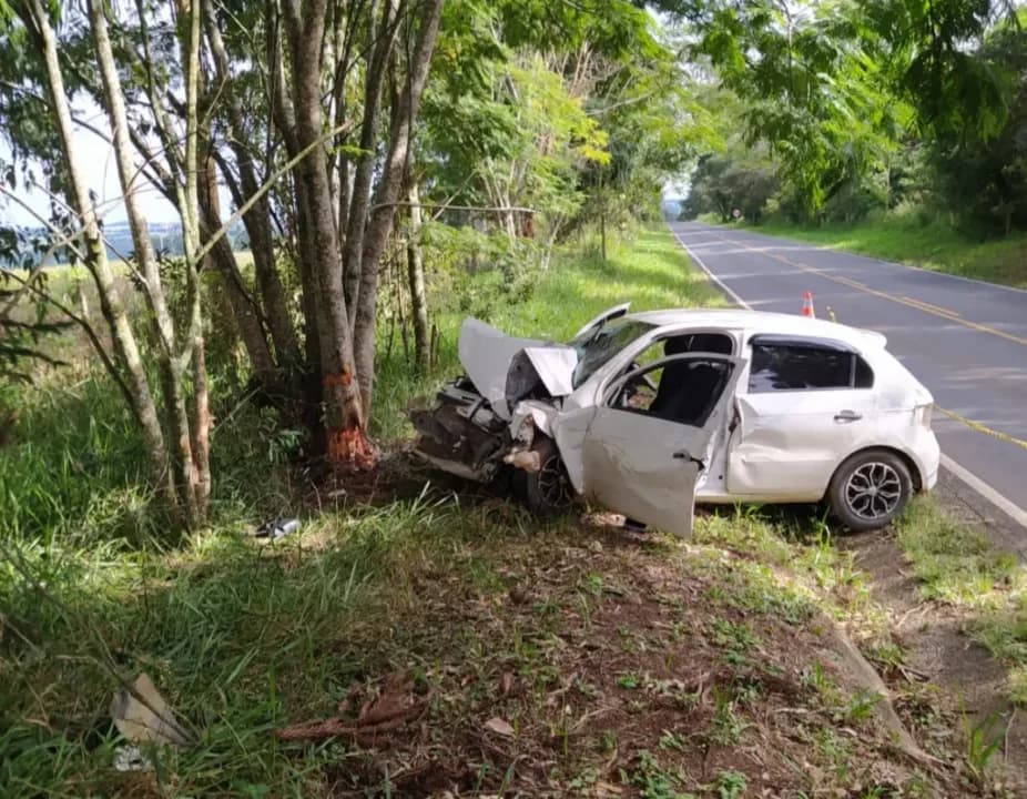 Carro colide em árvore e mata passageiro na região