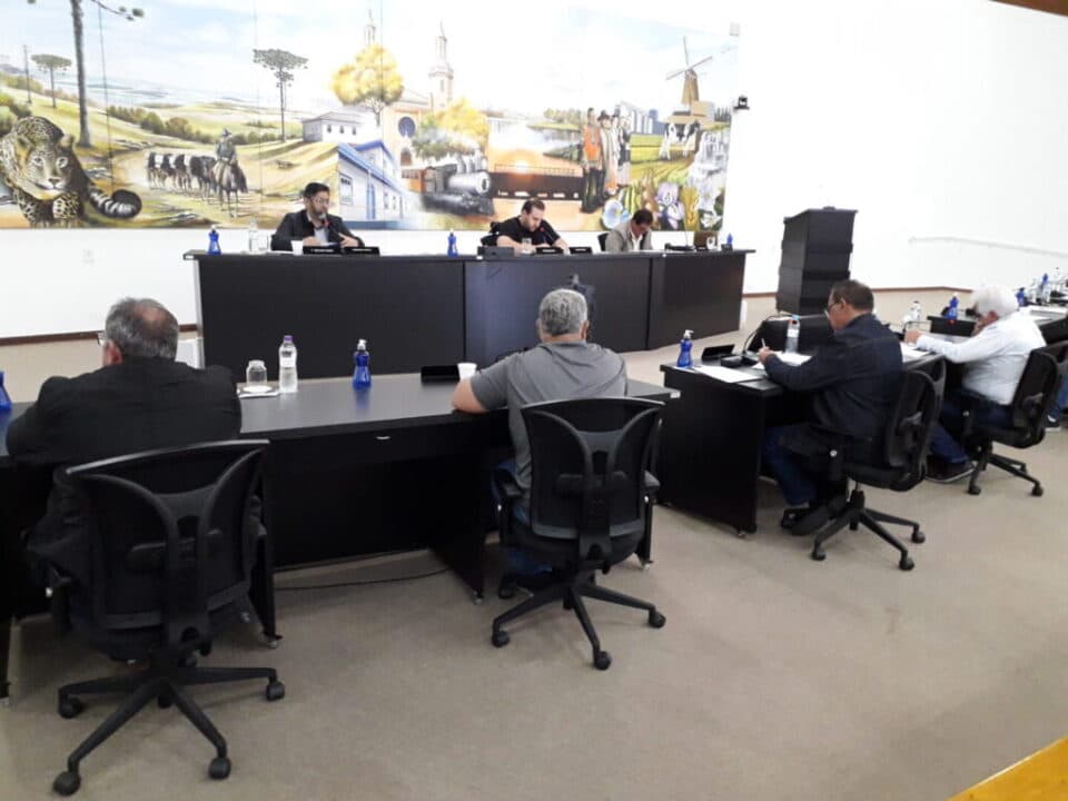 Câmara de Castro aprova requerimento que pede arborização na rua Doutor Jorge Xavier da Silva