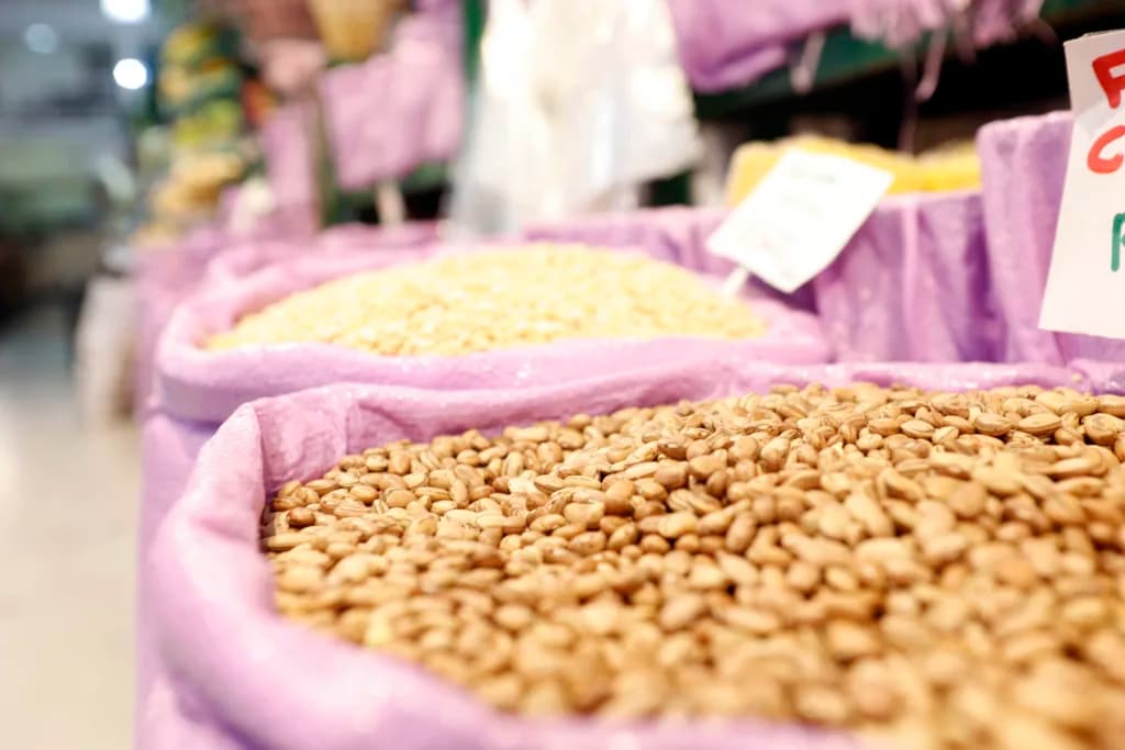 Colheita de feijão avança no Paraná e a expectativa é de aumento na produção