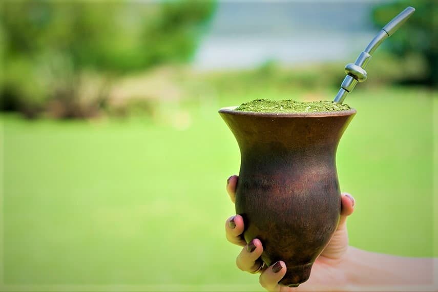 Câmara aprova criação da Tarde do Chimarrão, Tererê e Música Gaúcha em praças de PG