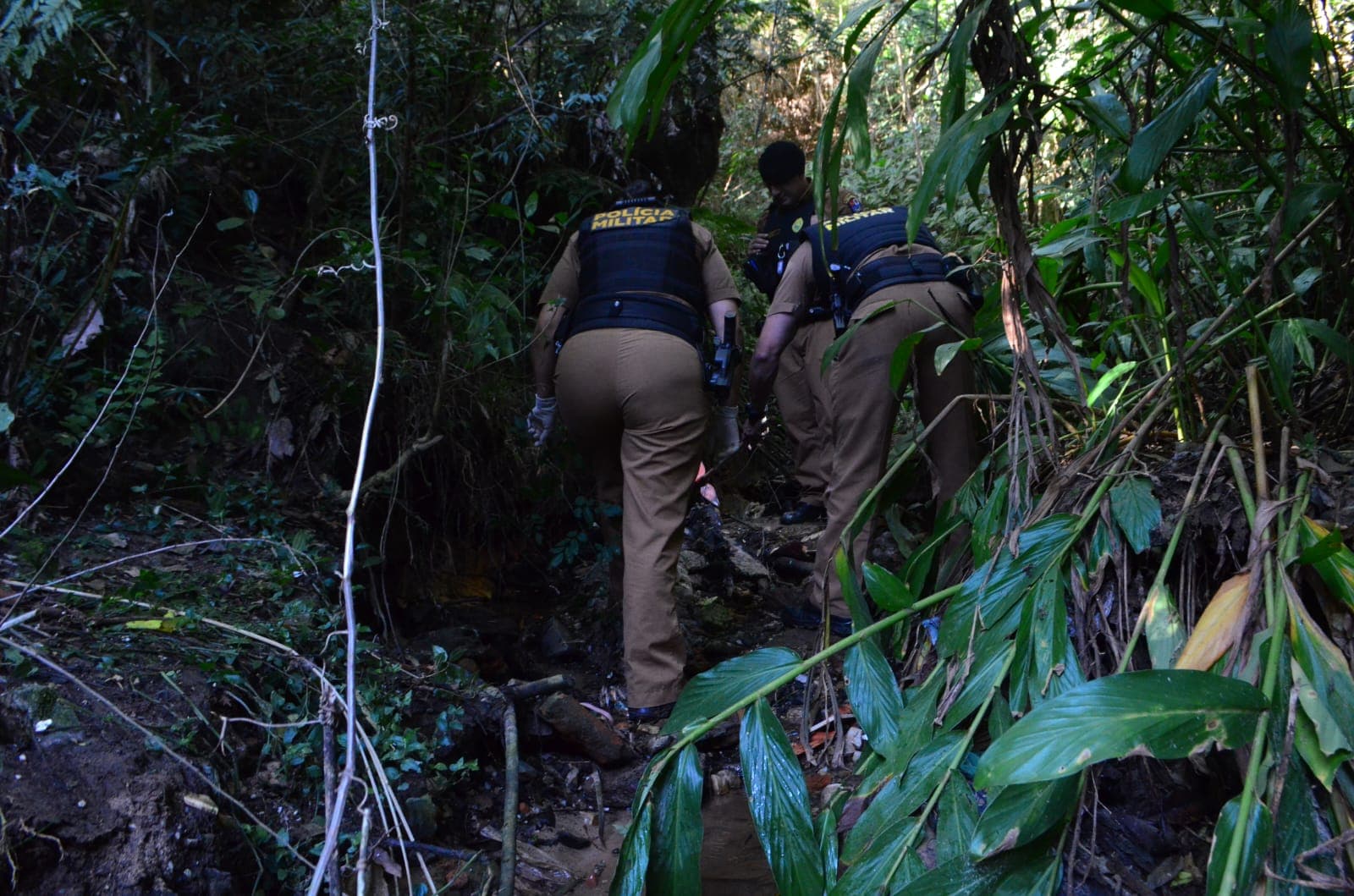 URGENTE: Ossos humanos são encontrados em matagal em bairro de PG