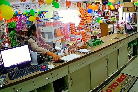Câmeras de segurança flagram mulher furtando celular em pet shop de PG