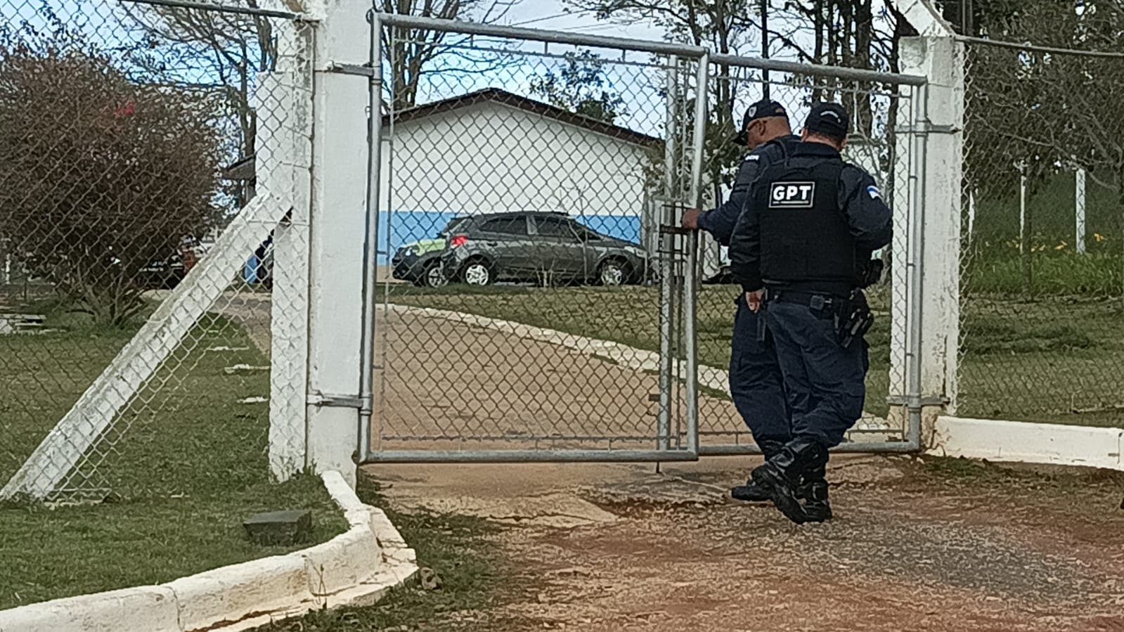 Nova lei sobre multa de animais abandonados entra em vigor em PG e gera reclamações