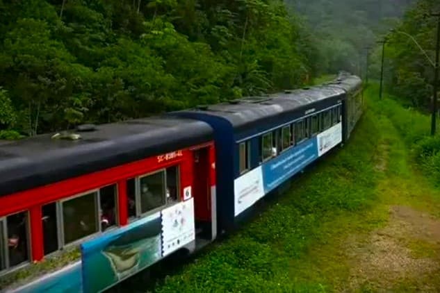 Trem com quase mil passageiros fica preso no meio da Serra do Mar
