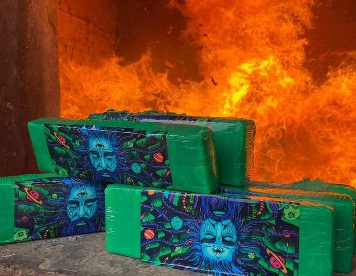 Polícia Civil incinera quase 300kg de maconha apreendida em Palmeira