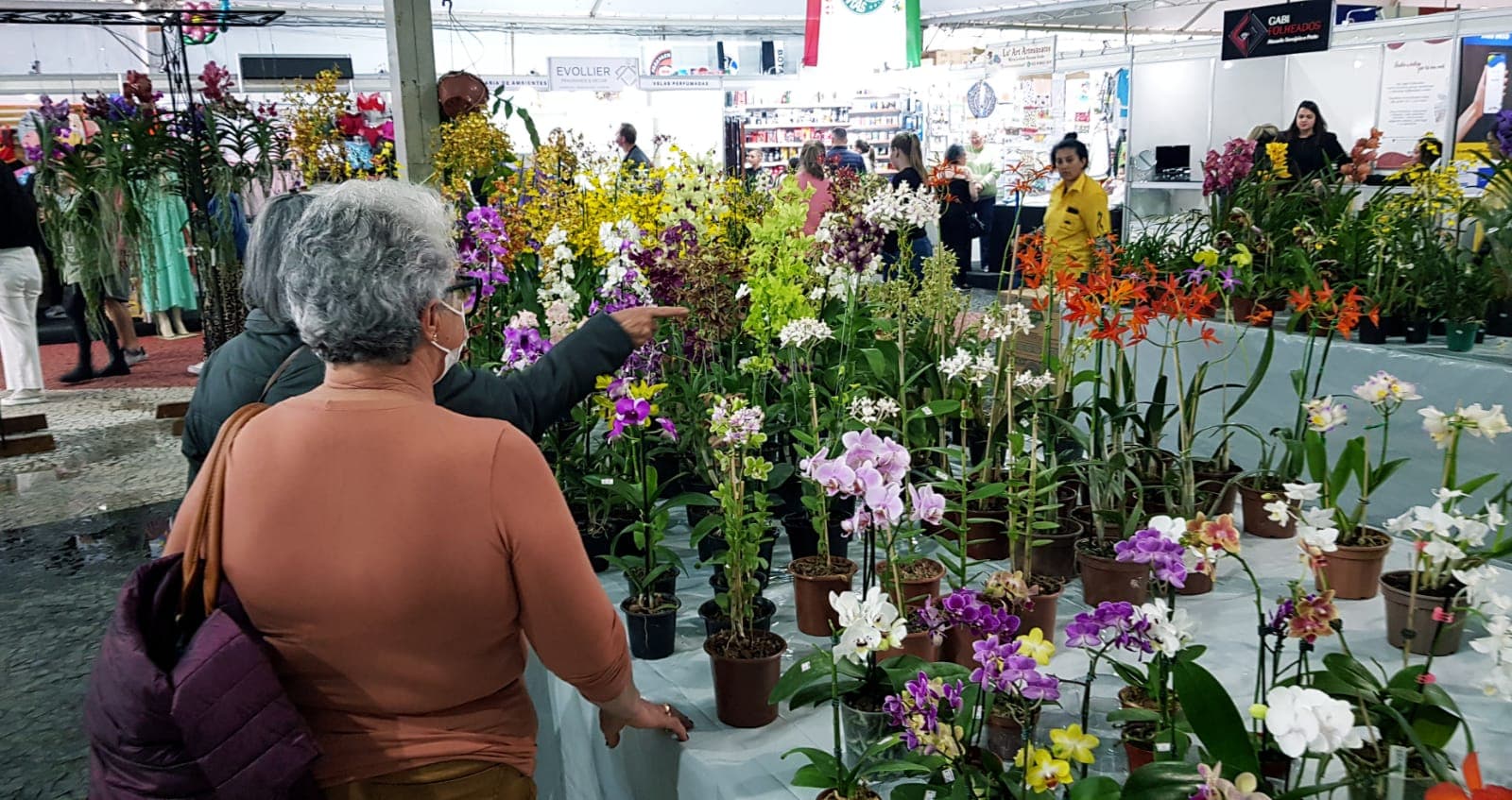 ExpoFlor 2025 termina nesta segunda de feriado em Ponta Grossa