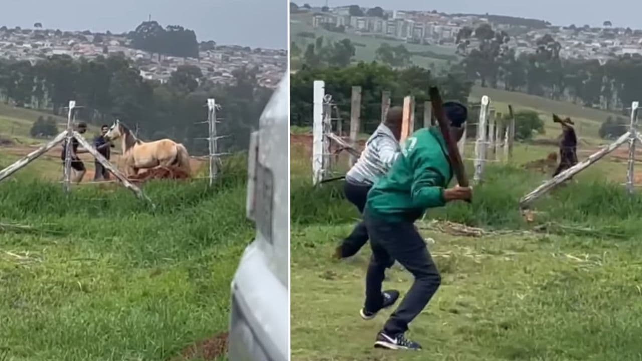 Prefeitura de PG aciona patrulhamento para encontrar criminosos que invadiram o CRAR
