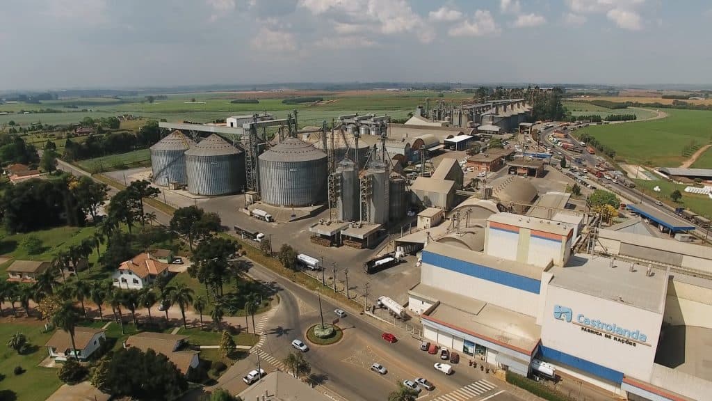 Castrolanda teve faturamento de R$ 6,7 bilhões em 2023
