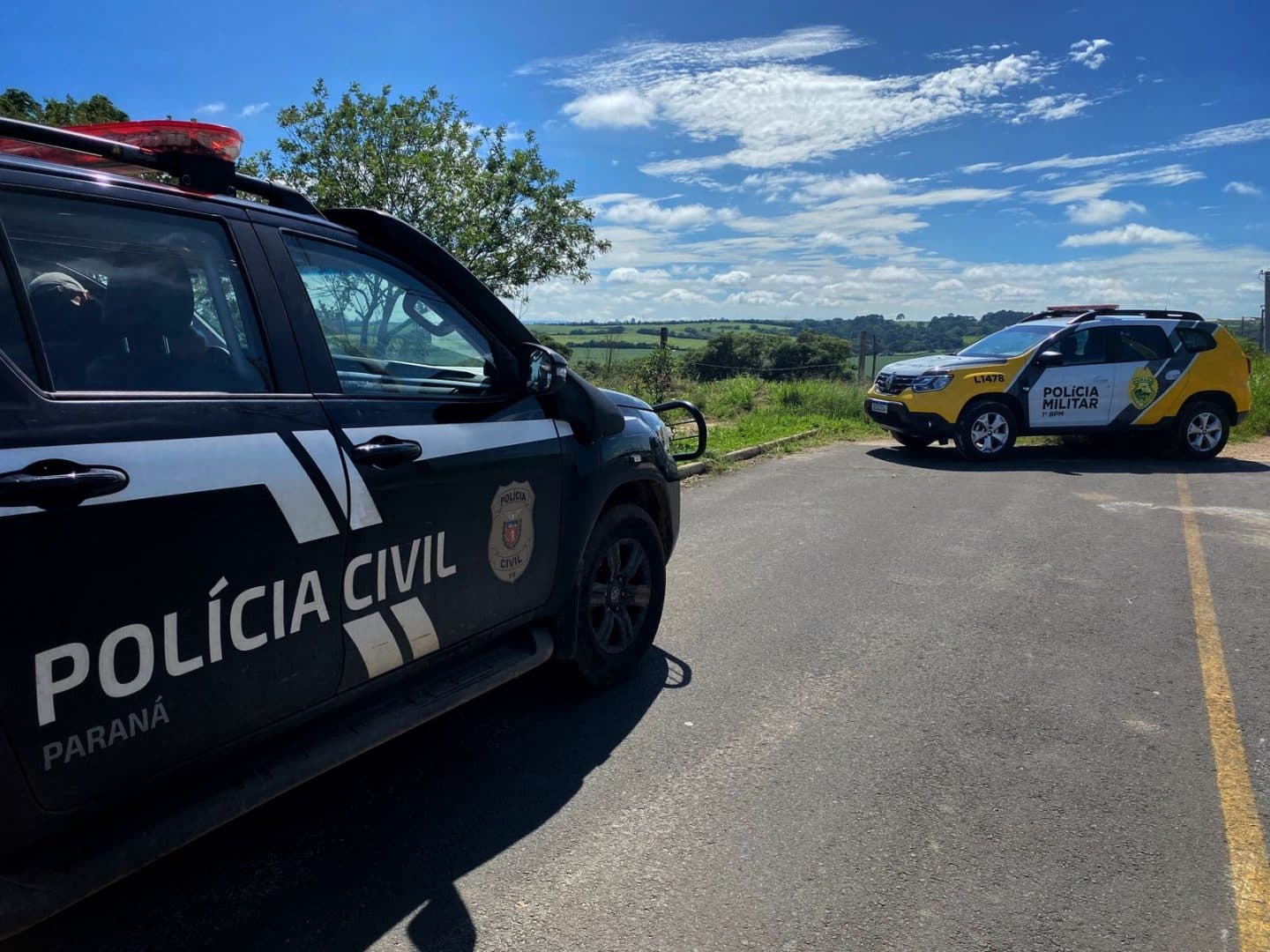 Polícia Civil de Palmeira conclui investigações sobre o rapaz morto com golpes na cabeça