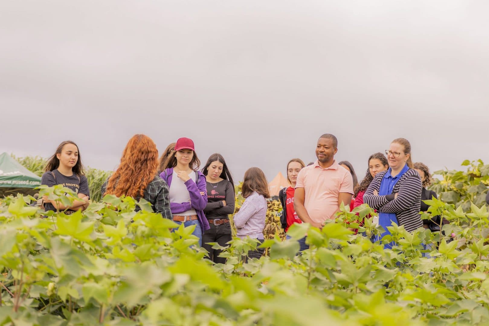 UEPG abre inscrições para doutorado em Agronomia com foco em ciências do solo e fitotecnia