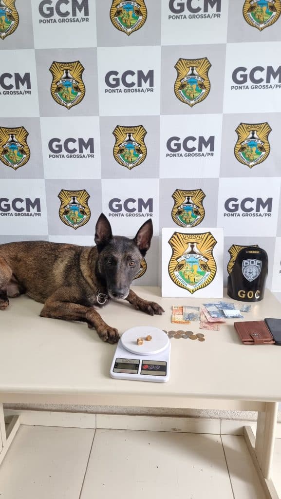 Guarda Civil Municipal prende suspeito de tráfico na praça Barão do Rio Branco