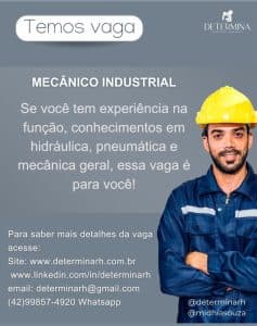 Vaga_determina_7