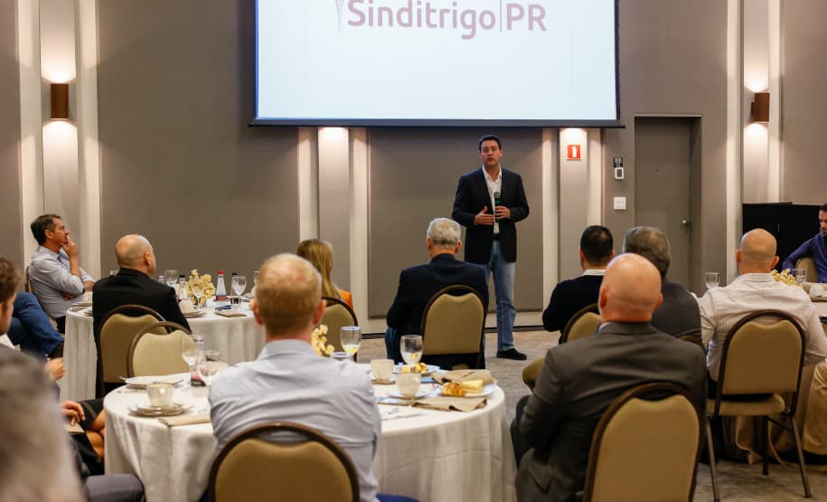 sinditrigo-04