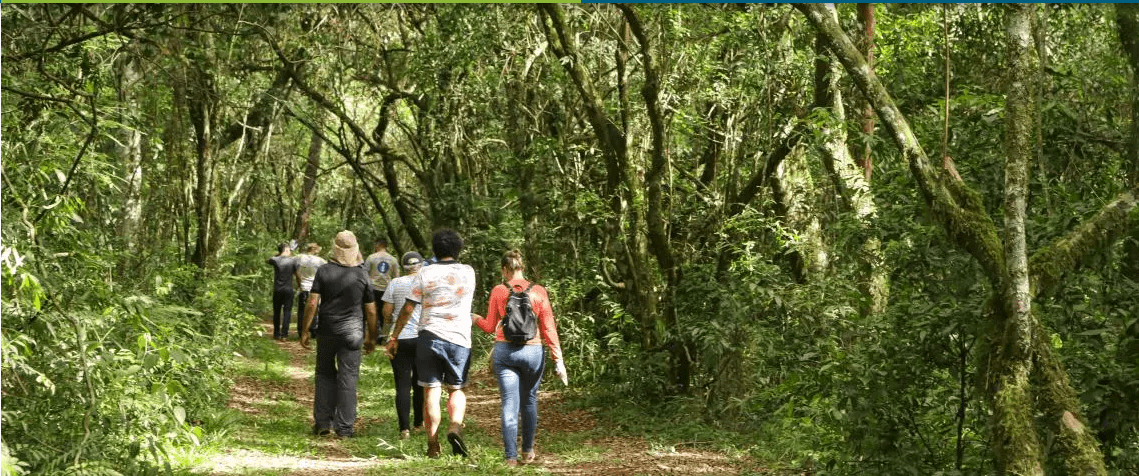caminhos do peabiru