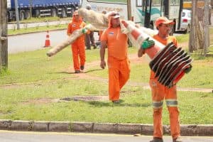 PGA explica como funciona o trabalho de varrição e manutenção de áreas verdes em Ponta Grossa