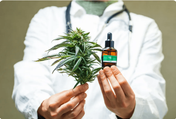 cannabis