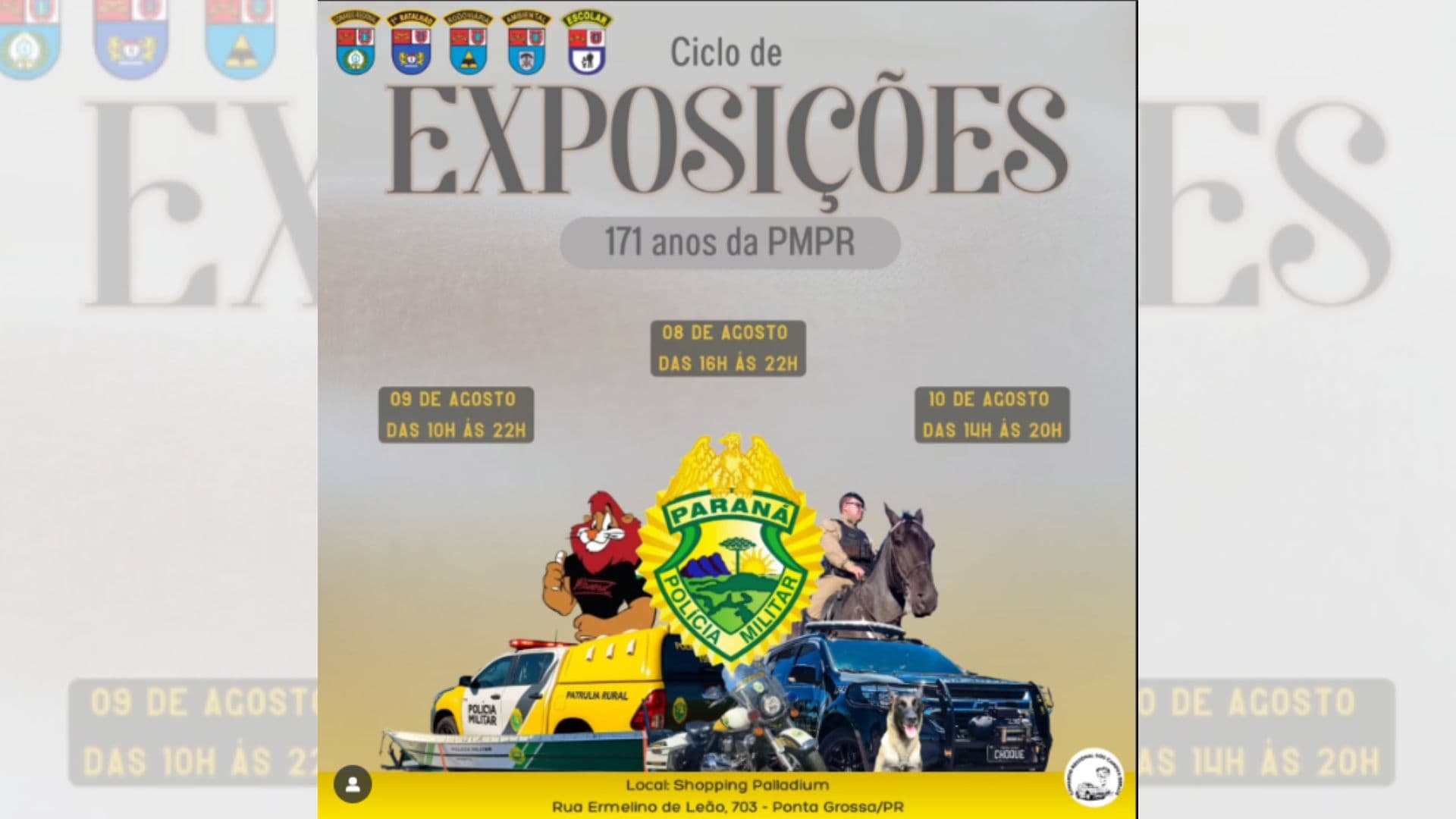 Cópia de REPORTAGEM 2024 bnt 82