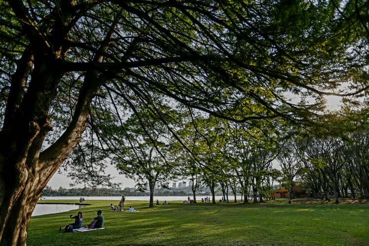 Tempo Paraná em Setembro