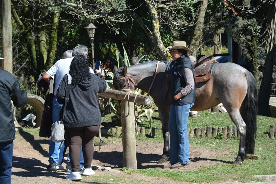 Rancho Catarina oferece chalés e suítes em São Luiz do Purunã, com cavalgadas, quadriciclos e experiências únicas no campo.