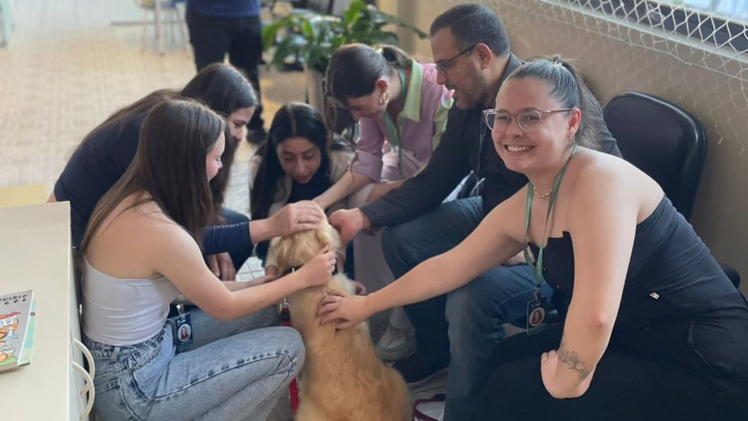 Projeto Teddy em Ponta Grossa usa cão de assistência judiciária para apoiar crianças vítimas de crimes durante depoimentos.