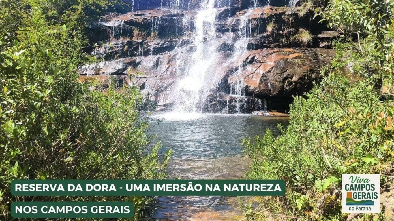 Recanto da Dora - Uma Imersão na natureza nos Campos Gerais