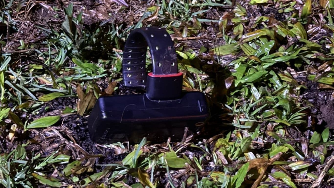 Crime em Castro: homem rompe tornozeleira eletrônica mata mulher e fere três pessoas