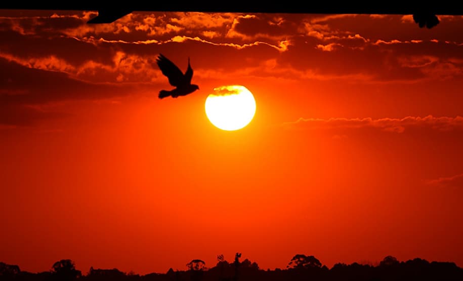 Sol tempo