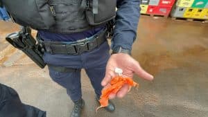 operaçao 6
