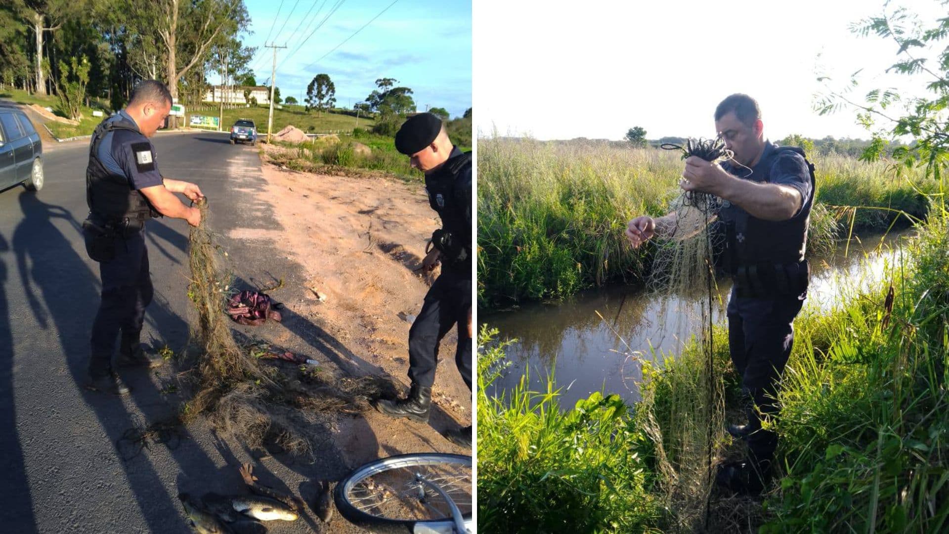 70 metros de rede com peixes vivos são retirados durante pesca predatória em Castro