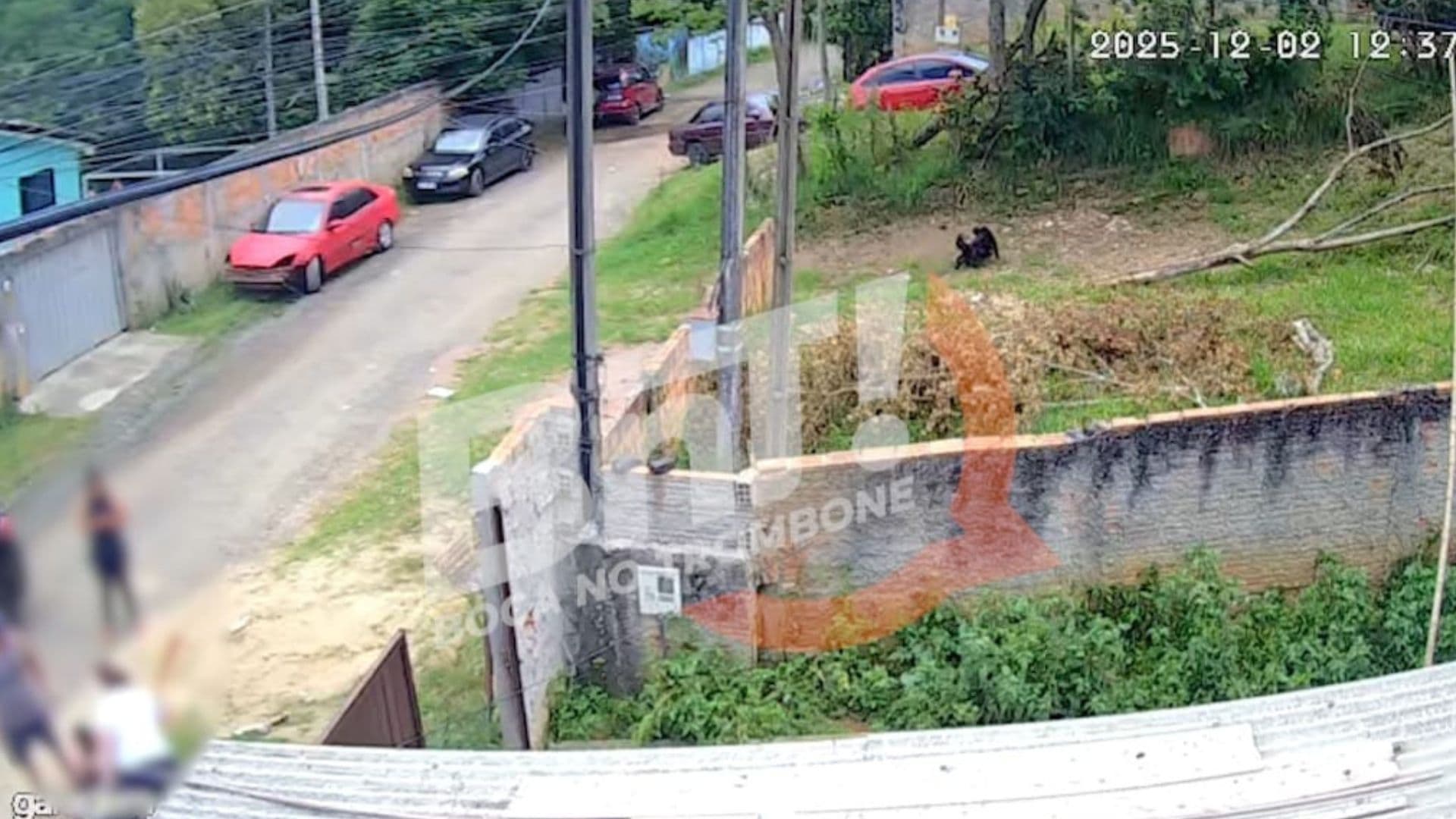 Morador é espancado com taco de beisebol em Uvaranas e fica em estado grave